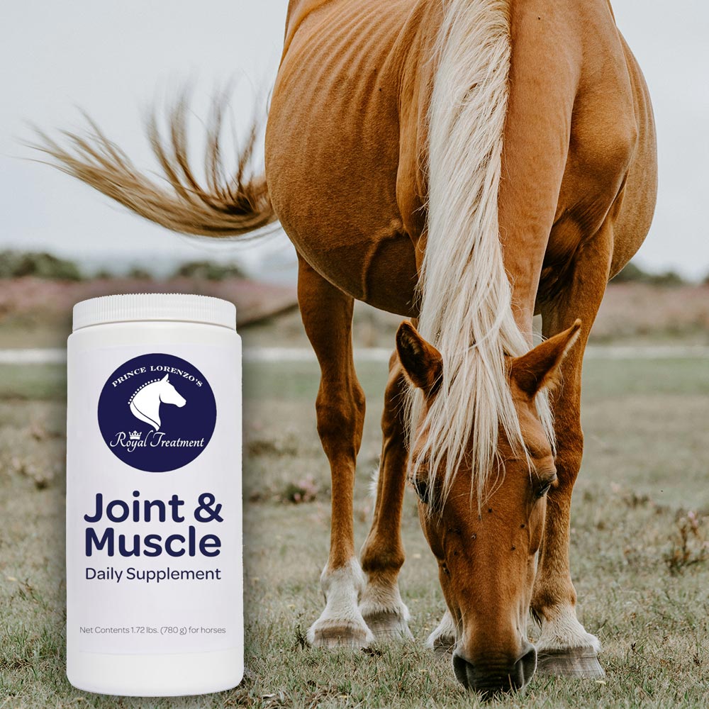 Muscle and Joint Equine Supplement Prince Lorenzo's Royal Treatment