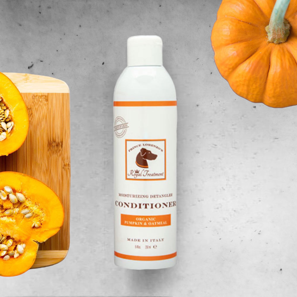 8.4 oz Organic Pumpkin and Oatmeal Bath Conditioner