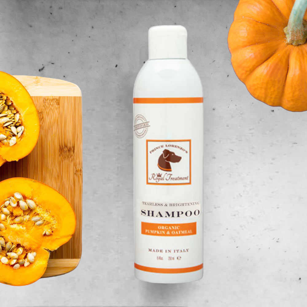 13.5 oz Organic Pumpkin and Oatmeal Shampoo