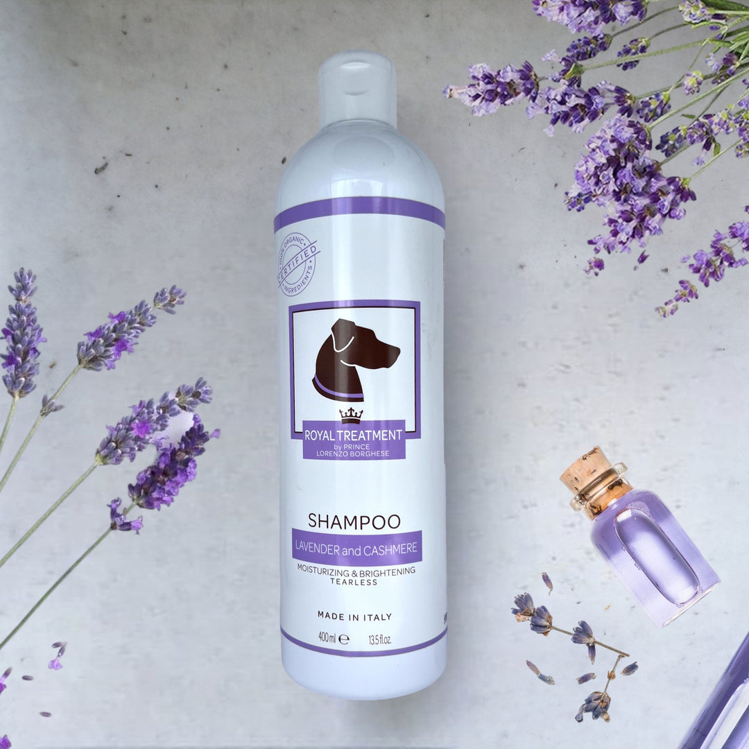 13.5 oz Organic Lavender and Cashmere Shampoo