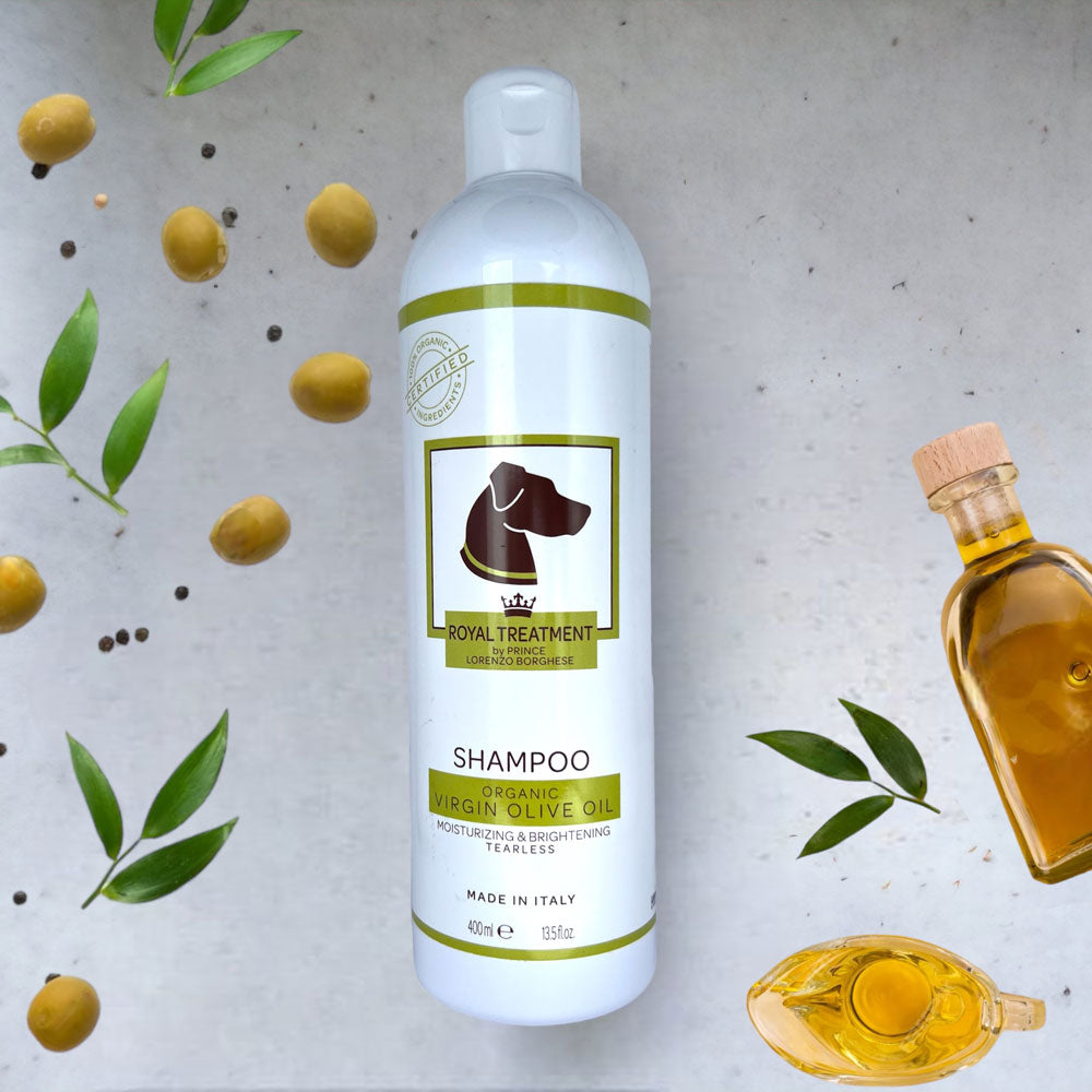 13.5 oz Italian Virgin Olive Oil Shampoo