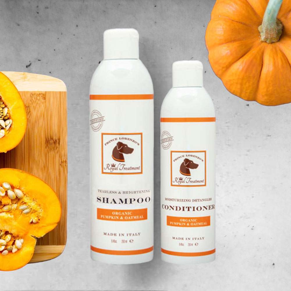 Organic Pumpkin and Oatmeal Shampoo and Conditioner Bundle