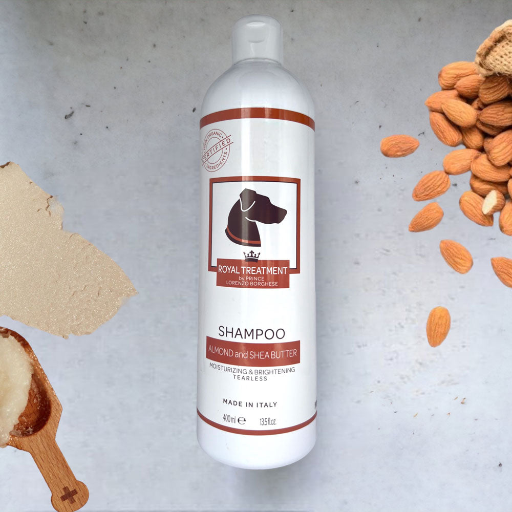 13.5 oz Organic Almond and Shea Butter Shampoo